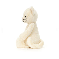 Bashful Cream Kitten