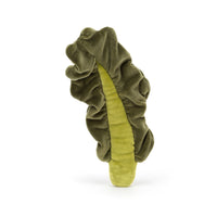 Vivacious Vegetable Kale Leaf