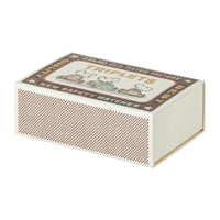Baby Mice Triplets in Matchbox