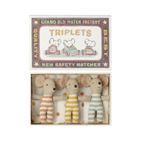 Baby Mice Triplets in Matchbox