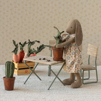 Flower Pot with Cactus