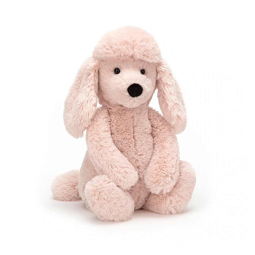 Bashful Poodle
