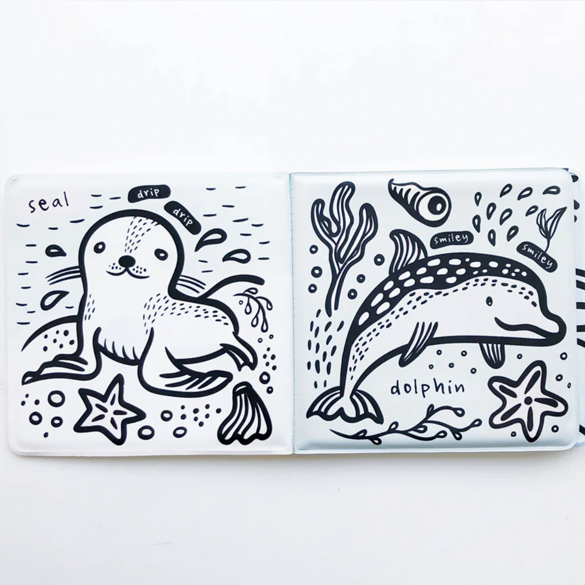 Who’s in the Water? Bath Book
