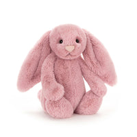 Pink stuffed bunny plush on a white background.