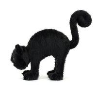 Spookipaws Cat