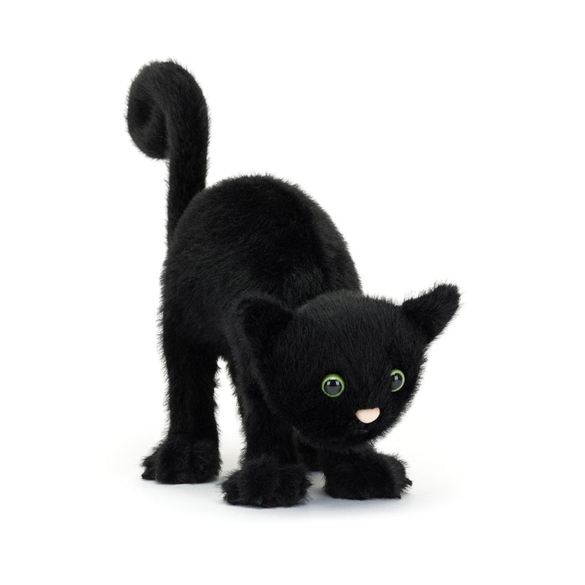 Spookipaws Cat
