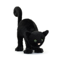 Spookipaws Cat