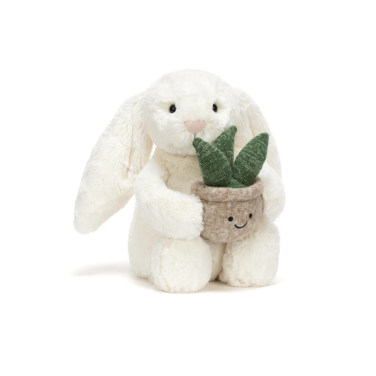 White bunny holding an aloe vera plant on white background.