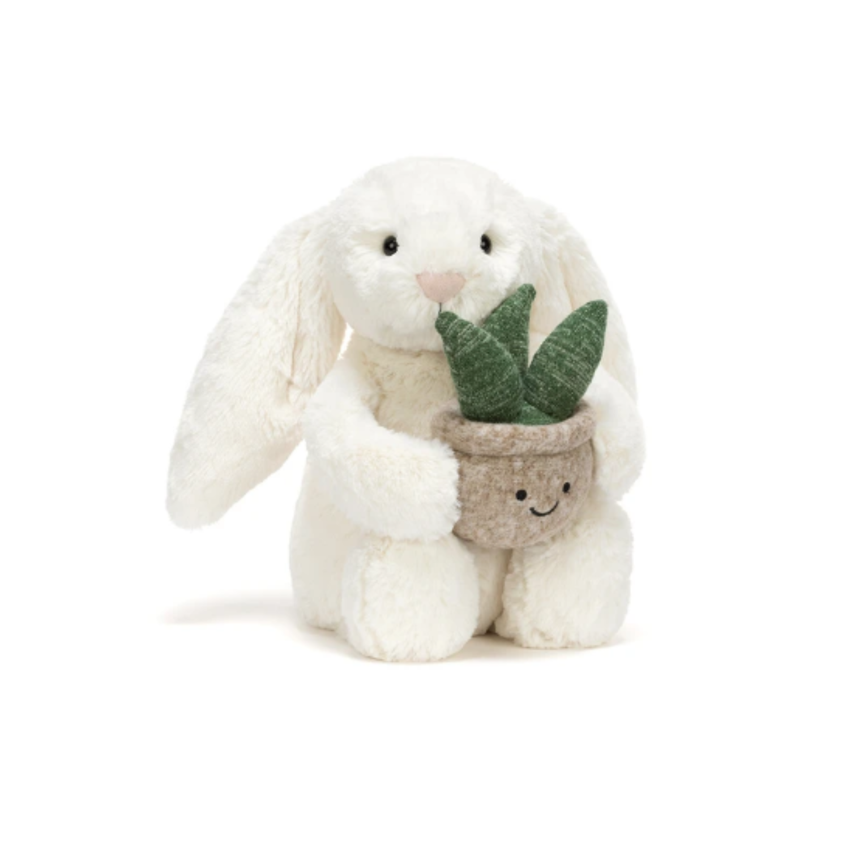 White bunny holding an aloe vera plant on white background.