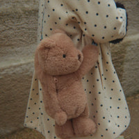 Teddy Bag