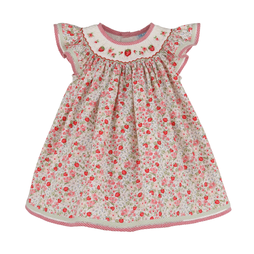 Strawberry Bishop Dress – Peaches