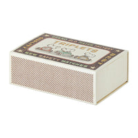 Baby Mice Triplets in Matchbox