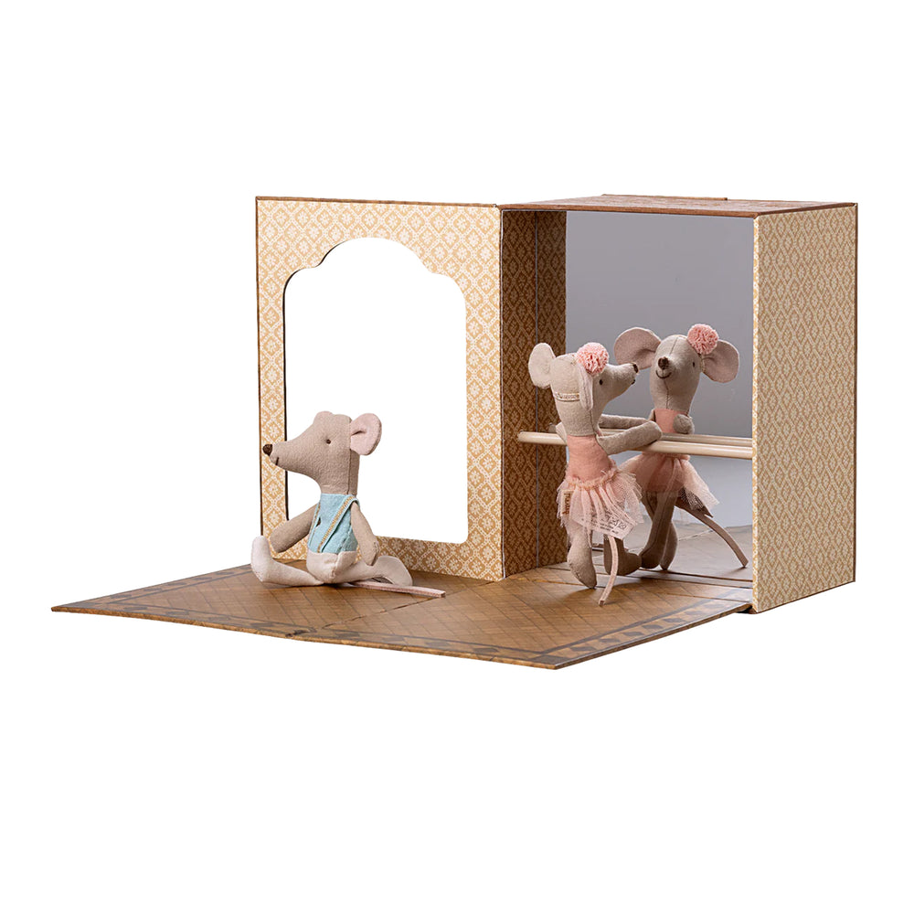 Ballet Mice in Dance Studio