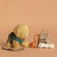 Stuffed toy dog with a leash, ball, and 'Goodie bag' on a beige background.