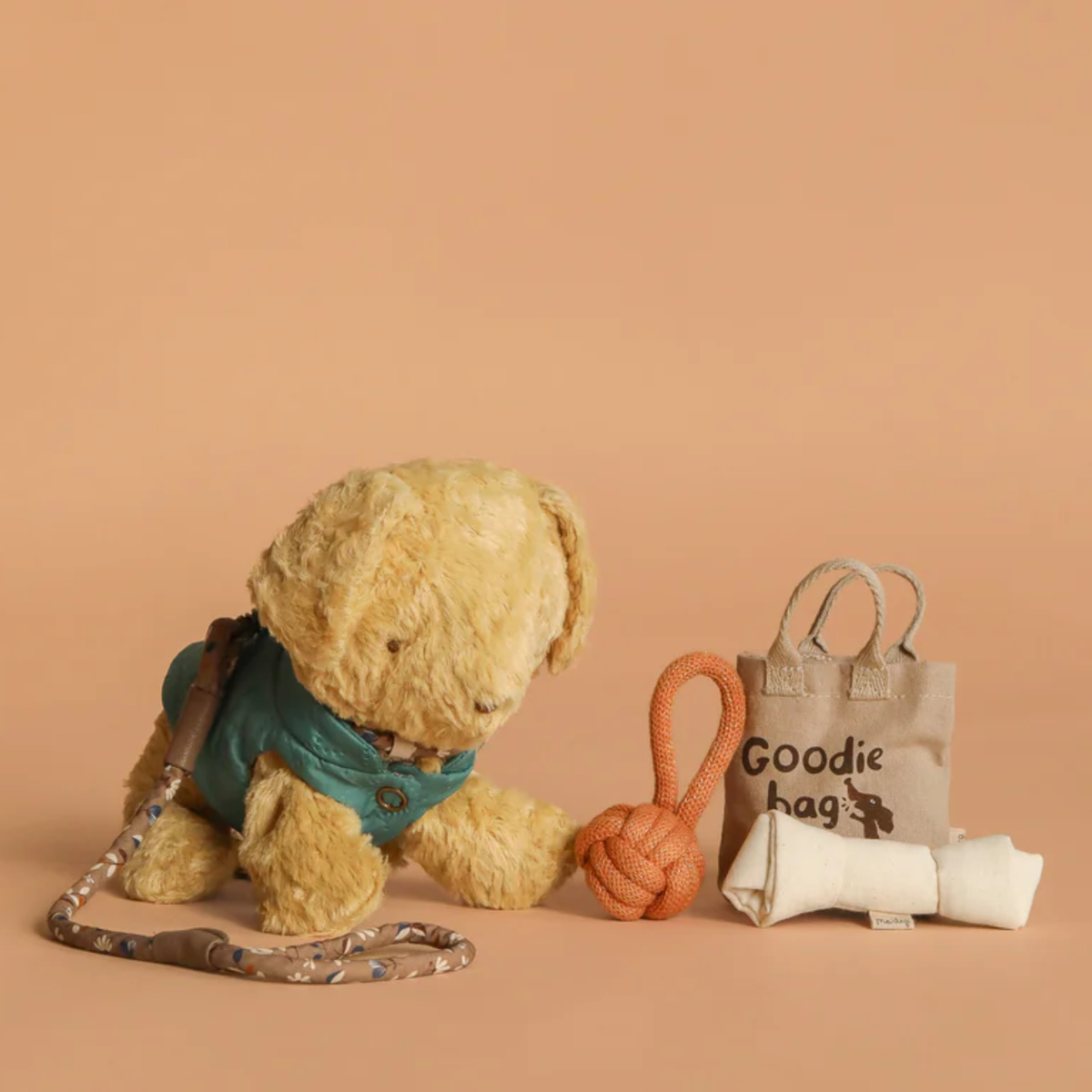 Stuffed toy dog with a leash, ball, and 'Goodie bag' on a beige background.