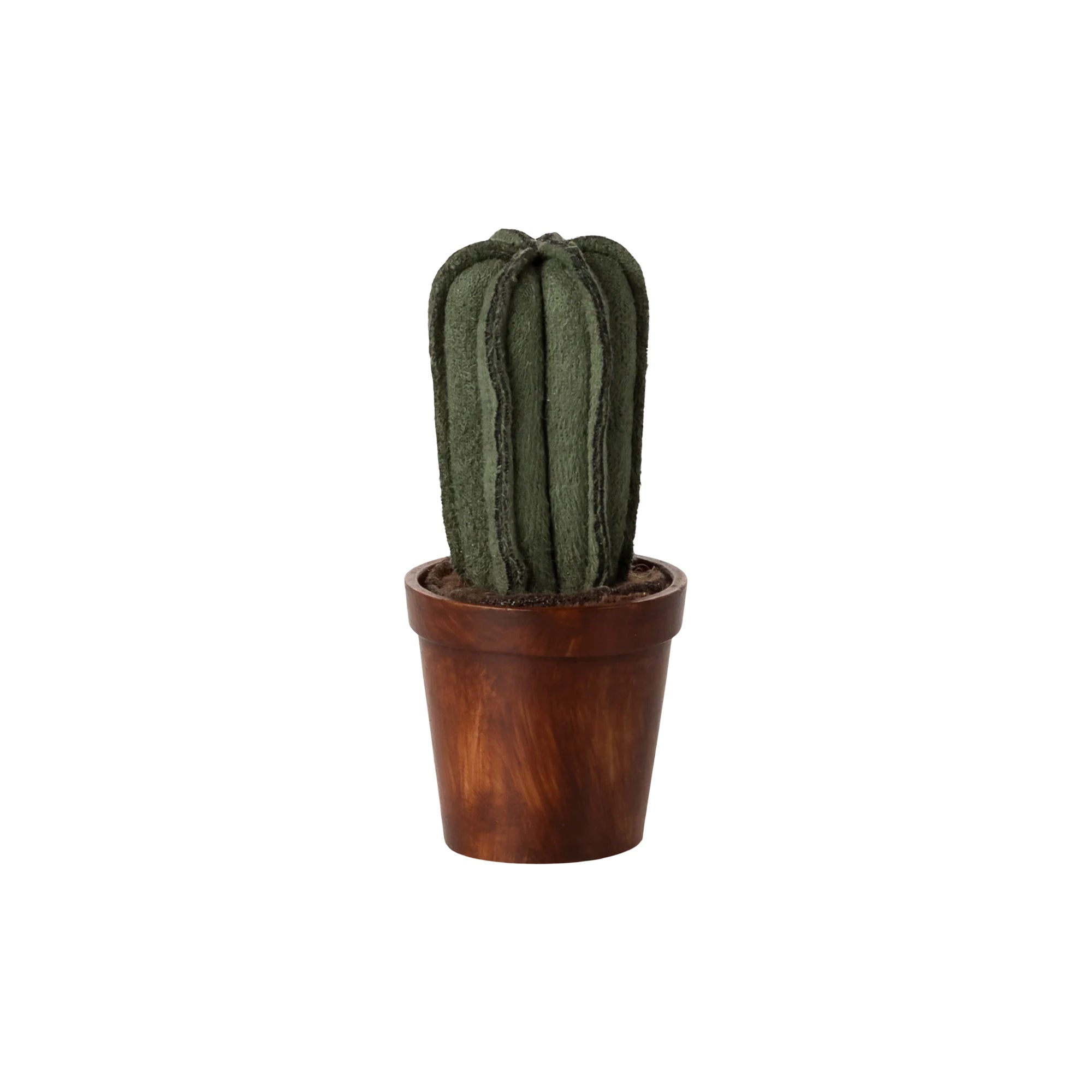 Flower Pot with Cactus