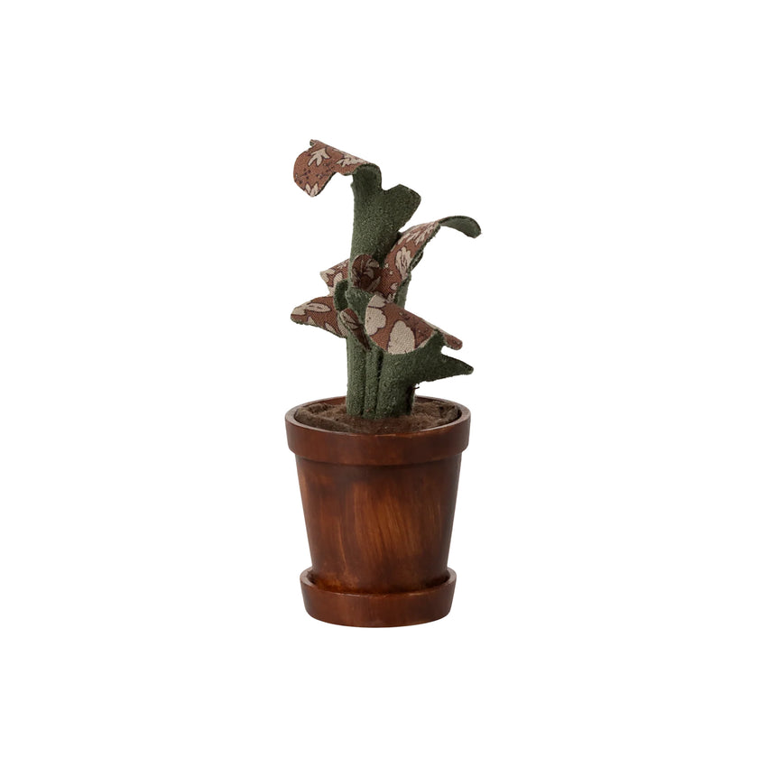 Flower Pot with Plant