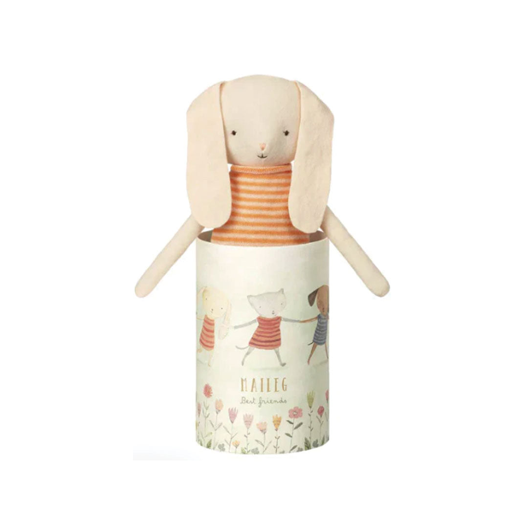 Stuffed bunny toy with a striped shirt in front of its packaging on a white background.