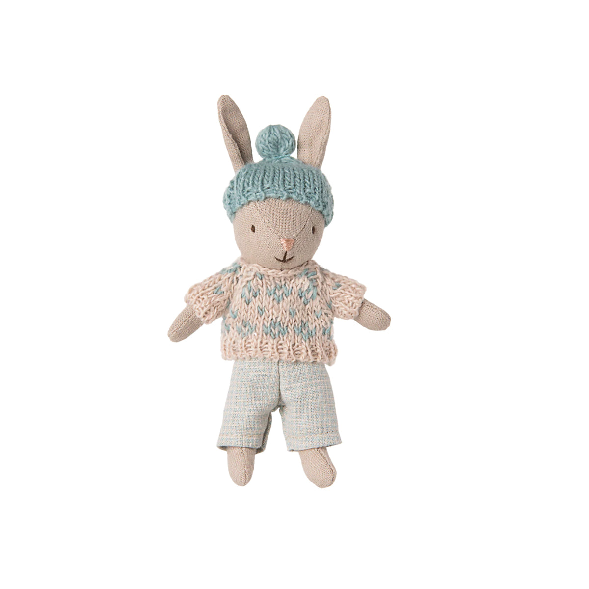 Winter Rabbit in Sand