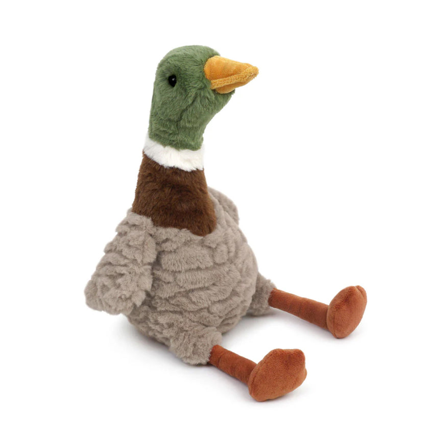 River Mallard Duck