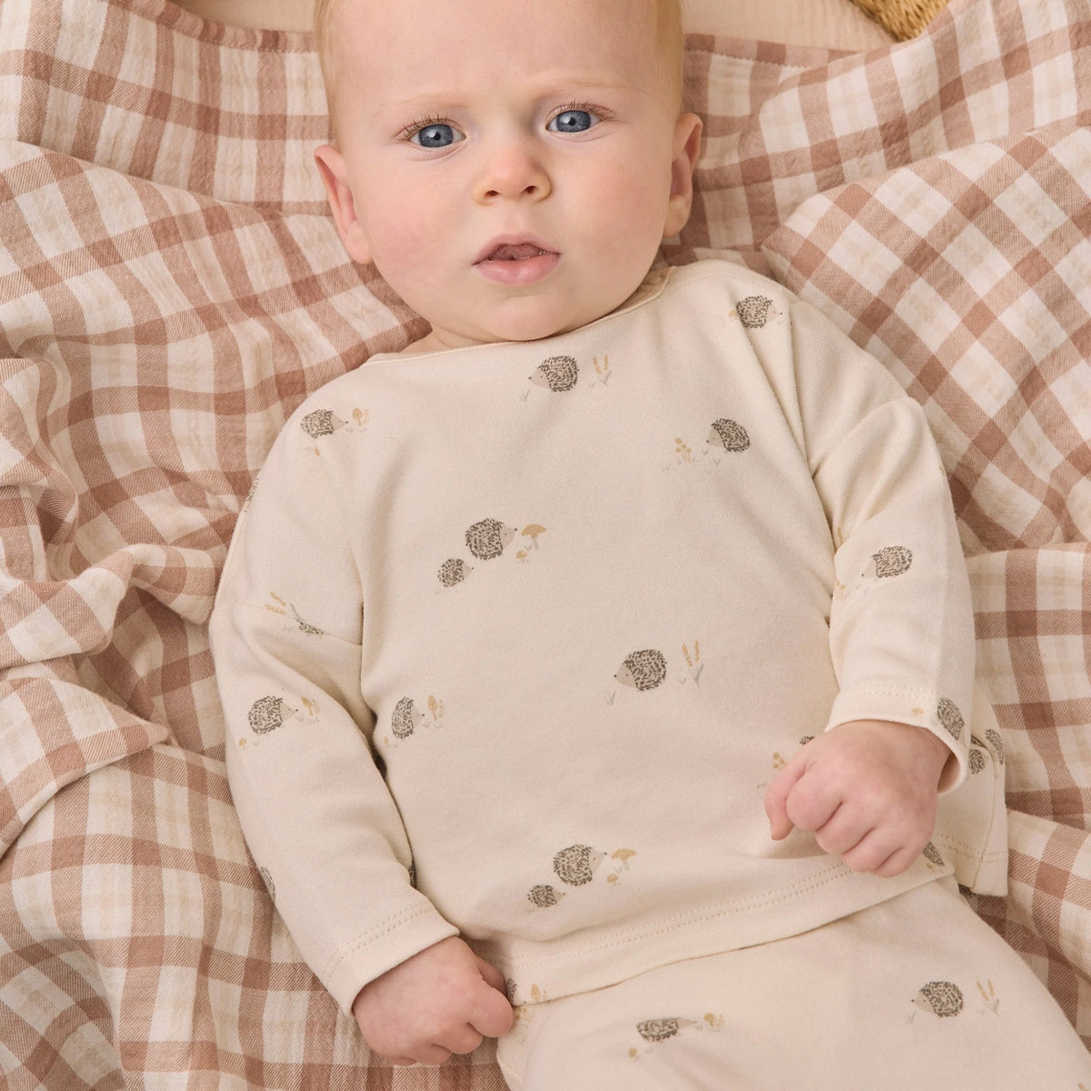 A baby lying on a beige and brown gingham blanket, wearing a cream-colored long-sleeve romper with small brown and gold hedgehog prints.