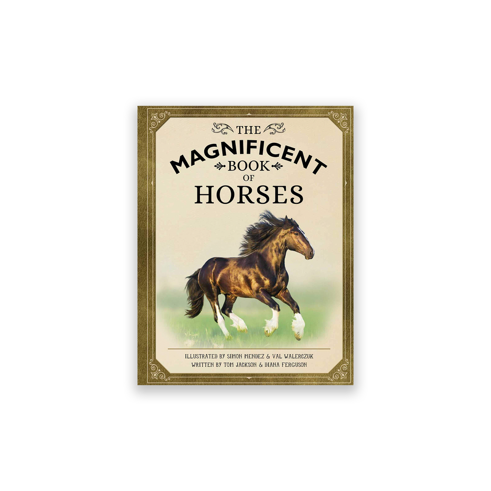 The Magnificent Book of Horses