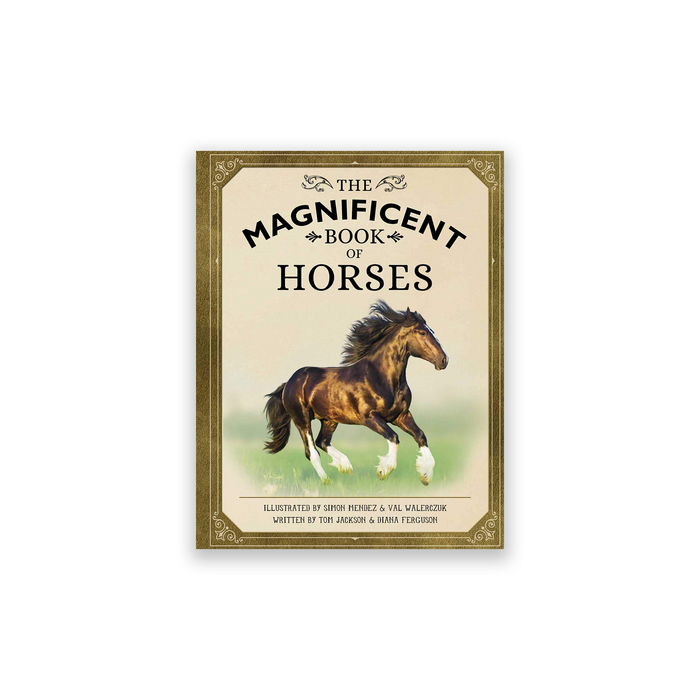 The Magnificent Book of Horses