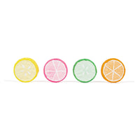 Citrus Fruit Slices Chalk
