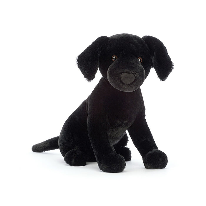 Pippa Black Labrador