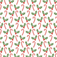 Alden Candy Canes and Holly 2pc. Set