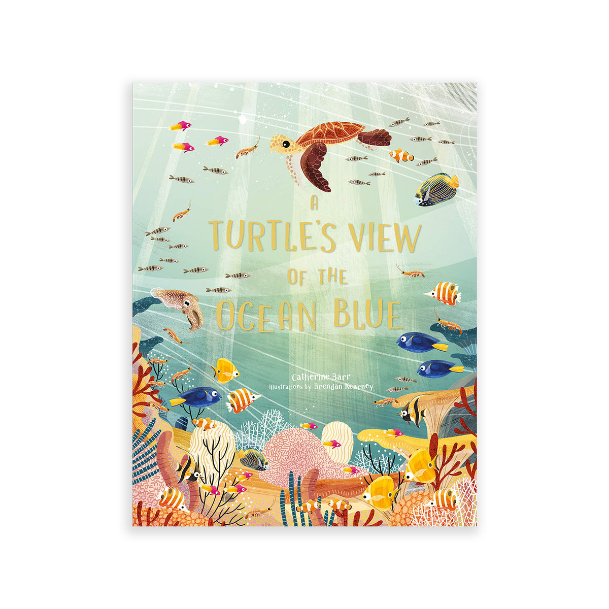 Turtle's View Of The Ocean Blue